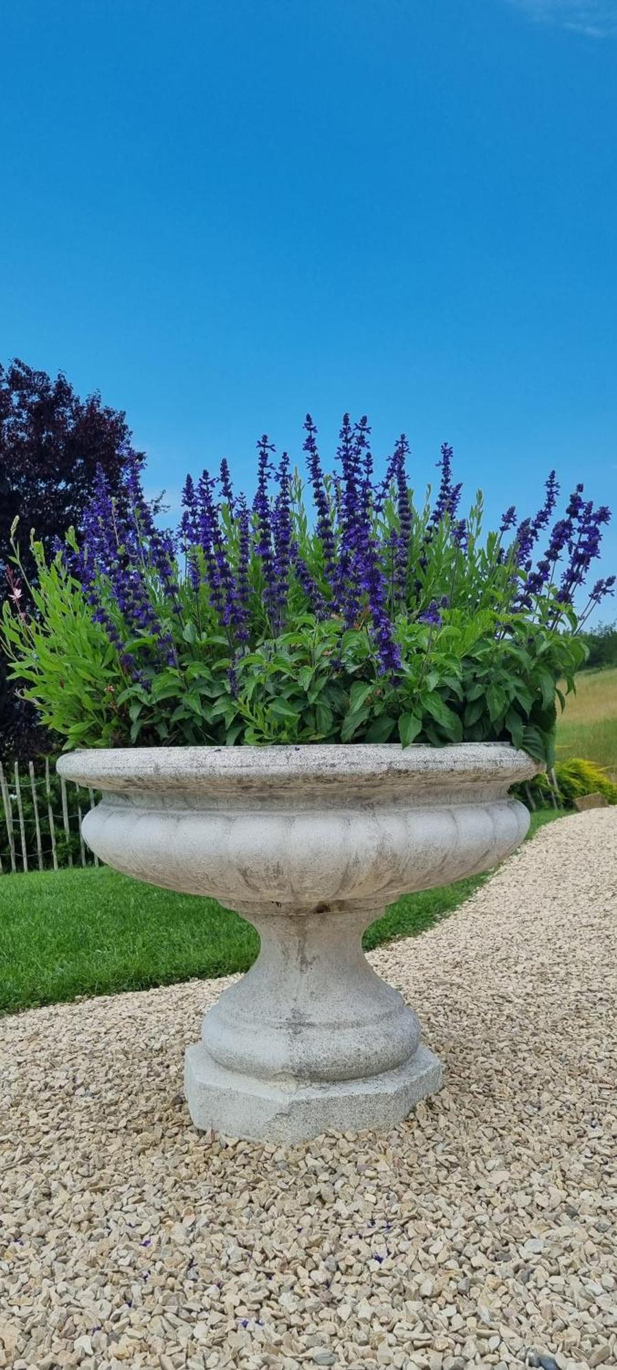 Bed and Breakfast Mas Tulipe De Soie Bevons Exterior foto